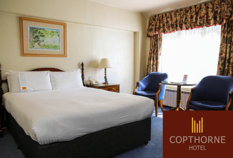 /imageLibrary/Images/84170 gatwick airport hotel copthorne hotel.png