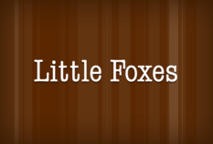 /imageLibrary/Images/85225 gatwick airport little foxes(1).png