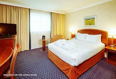/imageLibrary/Images/3174 gatwick airport arora hotel 11