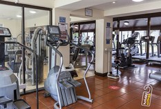 /imageLibrary/Images/6334 gatwick airport europa hotel gym