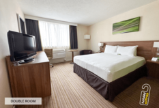 /imageLibrary/Images/8345 heathrow holiday inn slough windsor standard double room.png