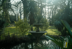 /imageLibrary/Images/8377 gatwick stanhill court fountain.png