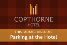 /imageLibrary/Images/85225 gatwick copthorne airport hotel parking hotel.png